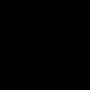 Meet your Posher, Brooklynn